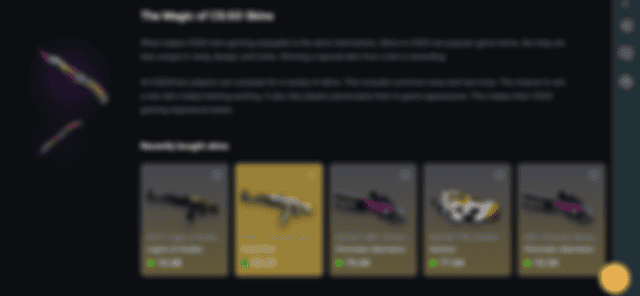 Details of CSGOFast